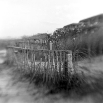 Sand Fence