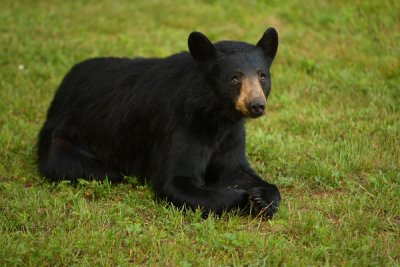 DSC_9632.JPG