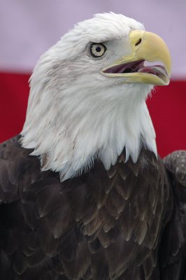 g5/59/471259/3/99332026.EKf5RQIa.jpg