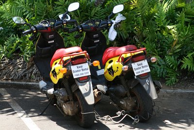 scoot-on-kauai-1.jpg