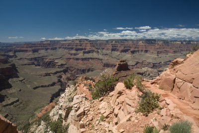 IMG_9494.jpg