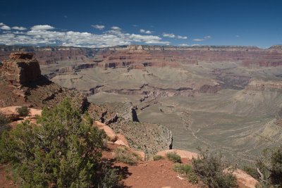 IMG_9499.jpg