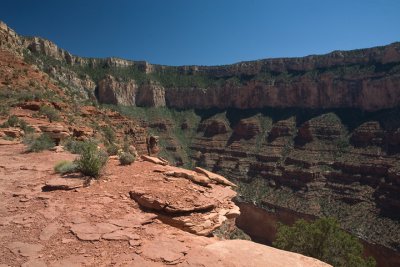 IMG_9500.jpg