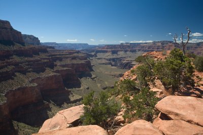 IMG_9503.jpg
