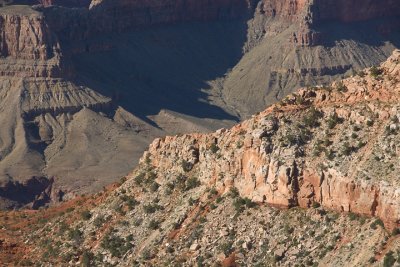 IMG_9554.jpg