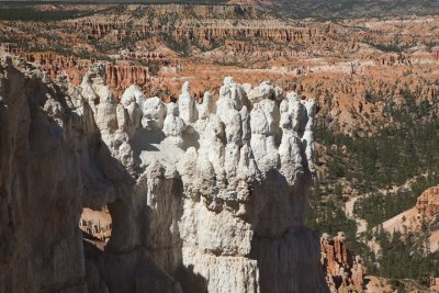 IMG_9648.jpg