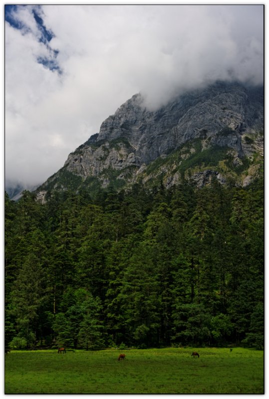 Jade Meadow