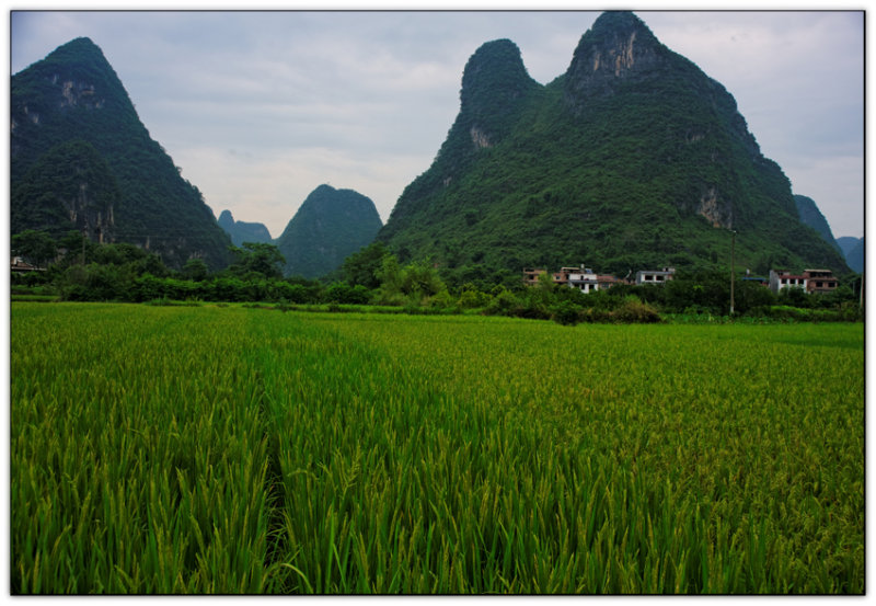 Countryside