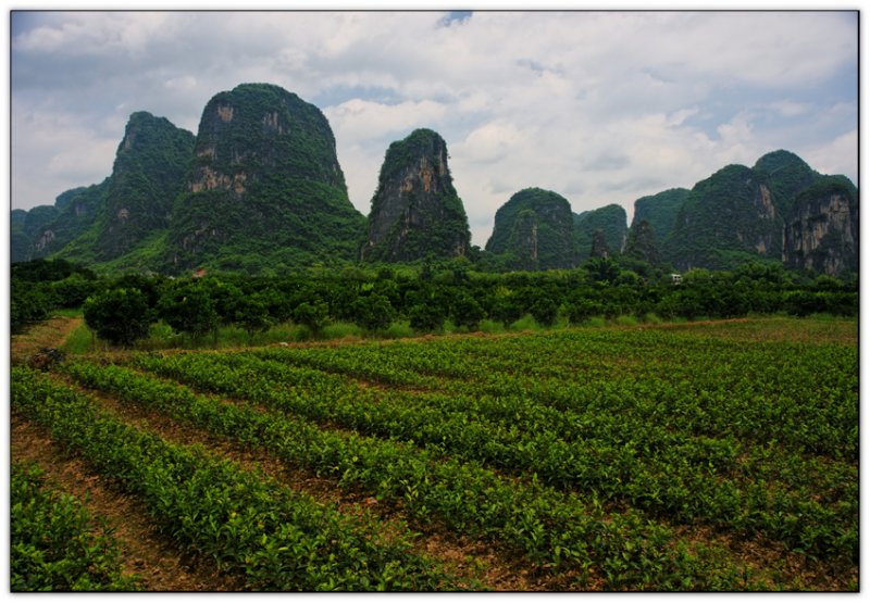 Countryside