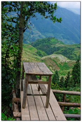 Rice terraces