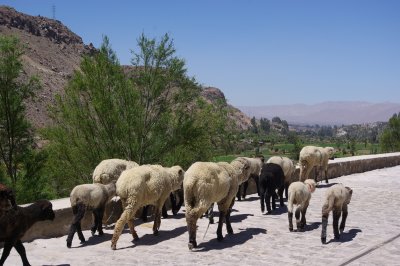 Valle de Chilina