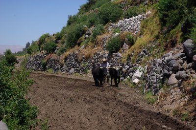 Valle de Chilina