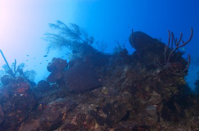 West Caicos Wall