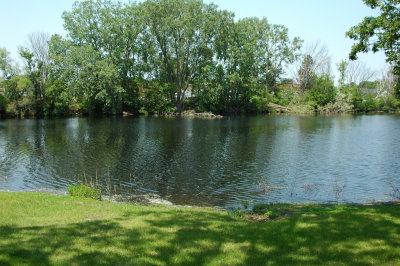 Augsburg Park Pond