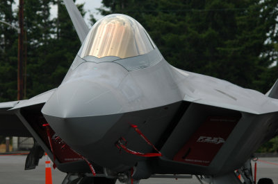 Nothing better, F-22A Raptor