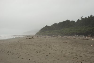 DSC_0785.jpg