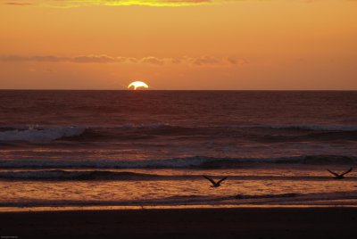 DSC_0843.jpg