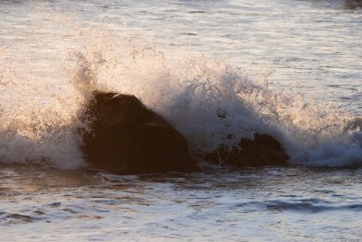 DSC_0904.jpg