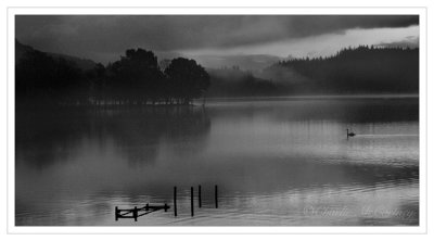 Misty Morning, Kinlochard - DSC_4537.jpg