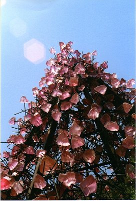 chihuly pink tree1.jpg