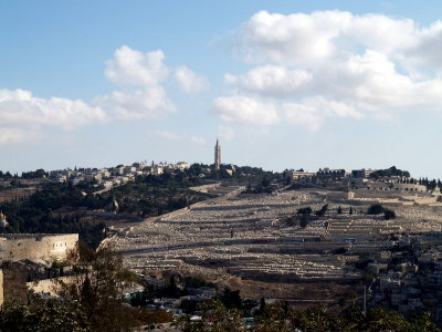 mt olives augusta1.JPG