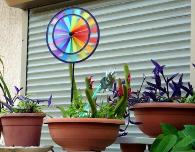 plants and rainbow wind spinner