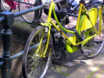 ams bike yellow.JPG