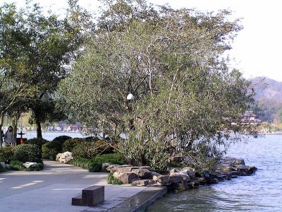 Hangzhou lake6.JPG