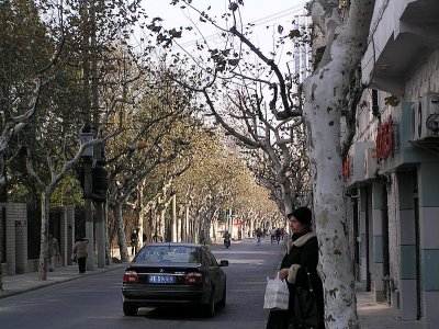 Shanghai street french.JPG