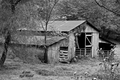 October 11, 2006  -  Barn on Milo Road