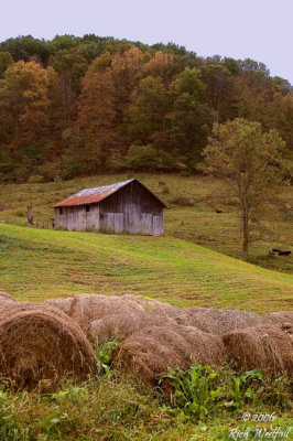 October 12, 2006  -  Autumn on the Farm