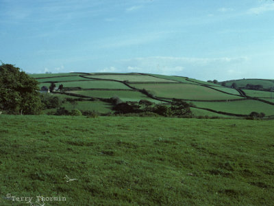 Farmland near Ugborough a.jpg