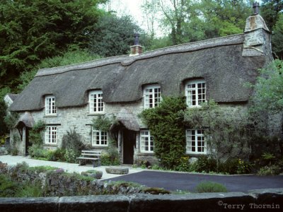 Buckland in Moor thached roof cottage.jpg