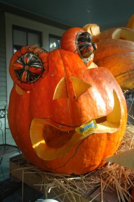 DSC_9164.JPG
