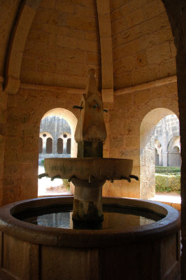 DSC_7200.JPG