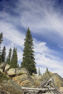 Lake Louise 7.jpg