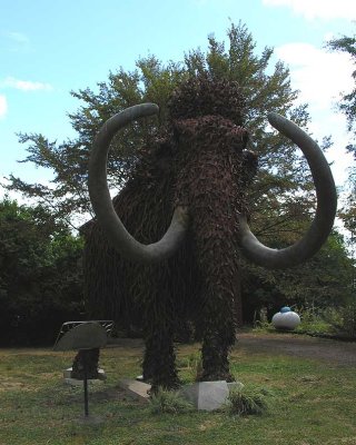 Wooly Mammoth in Fossil
