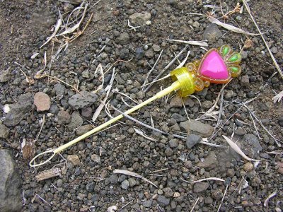 Fairy's wand by the Fairy Garden