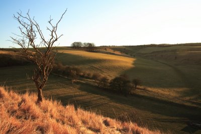 Bishopstone Coombe