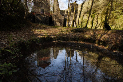 mine pool