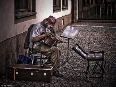 Street Musician