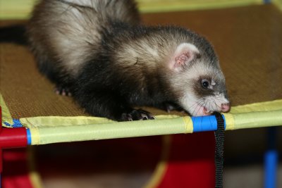 oliver 051308e.jpg