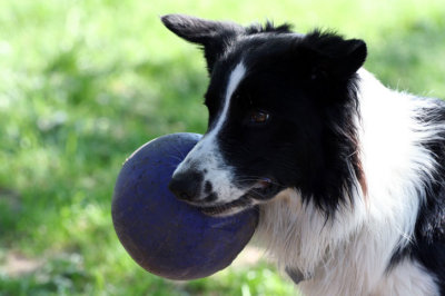 jesse 053108b.jpg