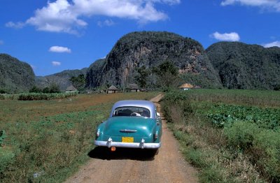The car and the mogote