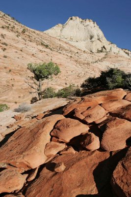 Rock formations at Checkerboard Mesa