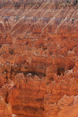 Bryce Point