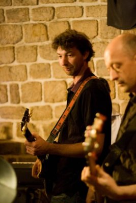Funky Bees and Bumble groove