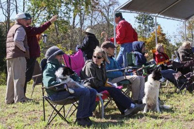 The peanut gallery (picture taken by Christine Henry)