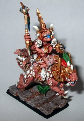 SV on COa.jpg