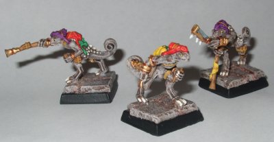 Chameleon skinksa.jpg